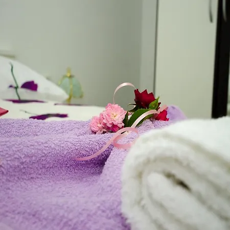 Vesela Apartament