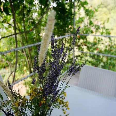 Vesela Lägenhet Janjina