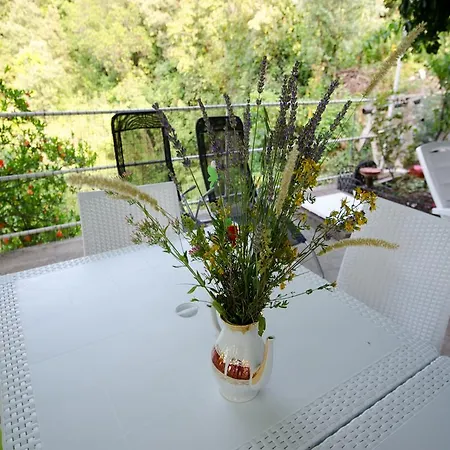 Vesela Apartment