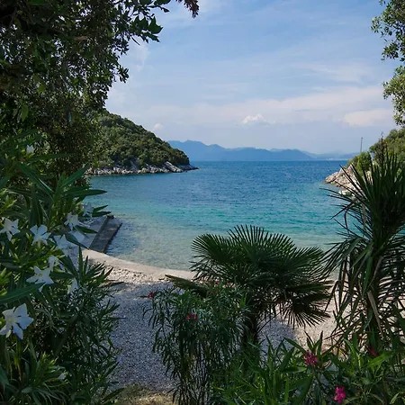 Lägenhet Vesela Janjina