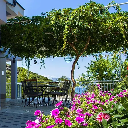 Vesela Apartment Janjina